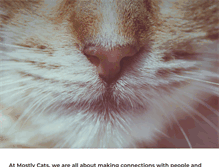 Tablet Screenshot of mostlycats.com